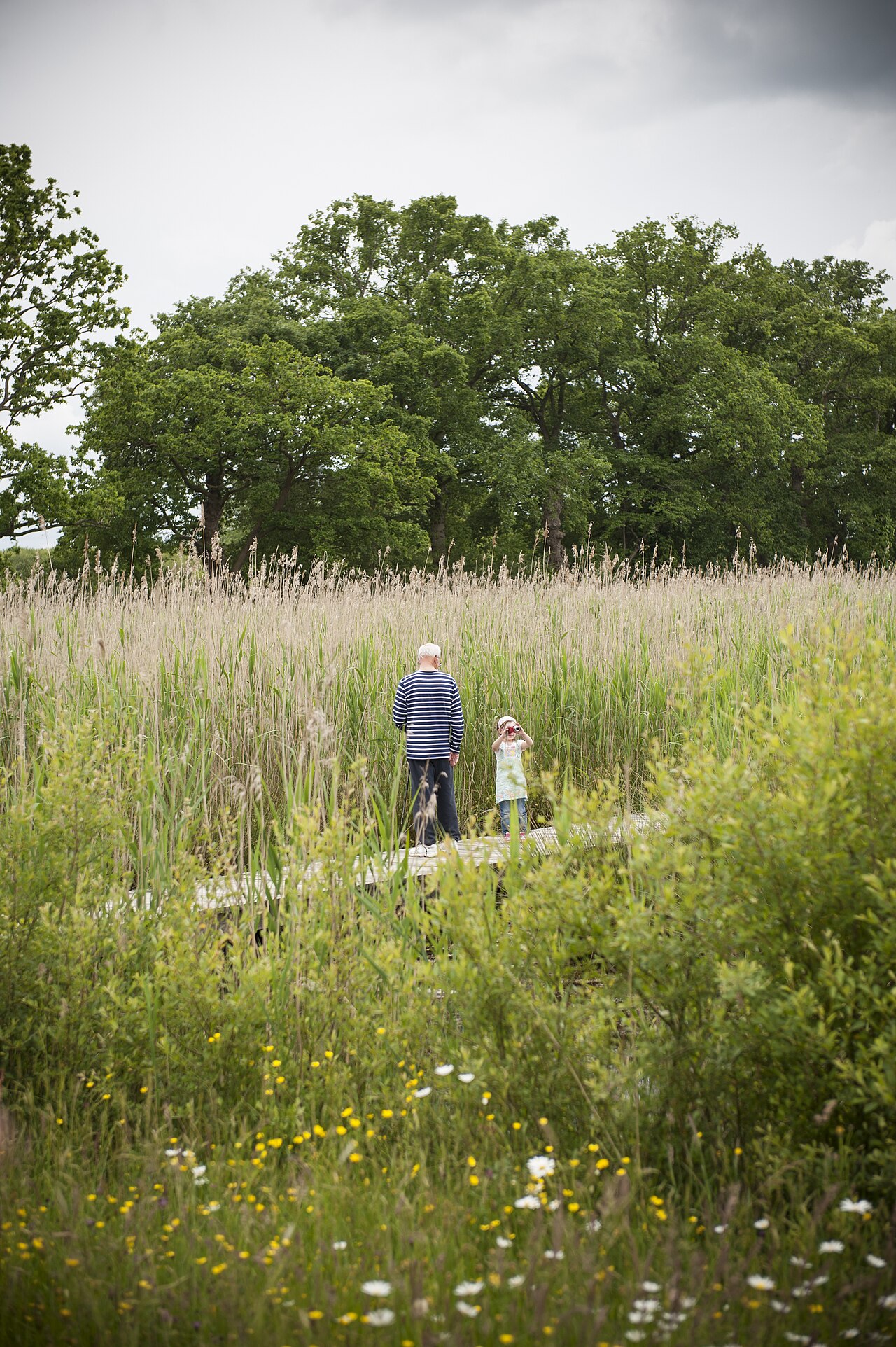 Mairie de Saint-Jacques-De-La-Lande